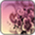 3D Flower Wallpaper Images App
