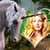 Unicorn Photo Frames