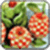 Fruit Carving Image_1