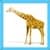 Kids Giraffe