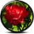 Encyclopedia of Rose
