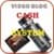 Video Blogging Cash System