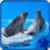 Dolphins Jigsaw Puzzle HD