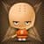 The Shaolin Master