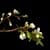 Orchid Flower Glitter Effects