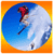 Adventure Activities