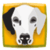 2048 Pets