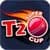 Super T20 Cup