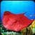 Stingray Water Family Simulator