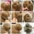 Girls Hairs Styles 2018