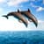 Dolphins Live Wallpapers Top