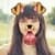 Snap Face Photo Editor