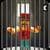 Blocky Jail Break  Plan