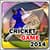 Cricket 2014 Game