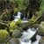 Beautiful Nature Wallpaper Free