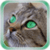 Cat Star Live Wallpaper