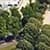 Street View Live With Earth Map Satellite Live