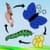 A Life Cycle App