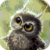 Funny Little Owl Live Wallpaper