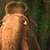 Ice Age Live Wallpaper 5