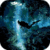 Under Water View Live Wallpaper