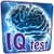 Intelligent Evaluator