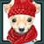 Dog Photo Collage