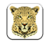 New Stunning HD Leopard Wallpapers