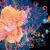 Cool Flower Abstract Live Wallpaper