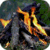 Real Campfire Live Wallpaper