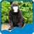 Best Animal Face Photo Editor