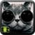 HD Wallpaper Cat