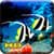 Fish Live HD Wallpaper