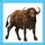 Kids Buffalo 