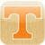 Vols Basketball