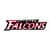 Atlanta Falcons Fan