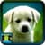 Baby Dogs Pictures