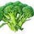 Vegetables Quizes
