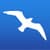 Spy Seagull