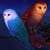 Owl Wallpapers App