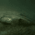 House of mystery  file