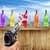 Bottle Target Practice Game