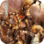 Three Kingdoms Live Wallpaper
