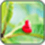 I Love You Image_2