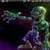 Scary Zombie Animated