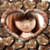 Romantic Frames