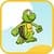 Super Turtle 2018