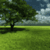 Nature HD Wallpaper For Android Phones For Free