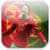 Cristiano Ronaldo Wallpaper HD New 2014