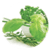 Benefits of Herbs